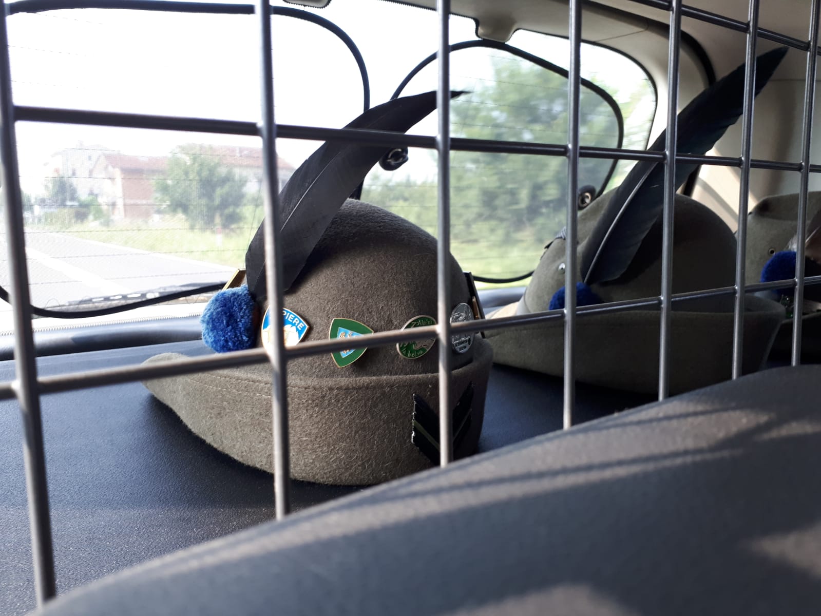 IMG-20190706-WA0130